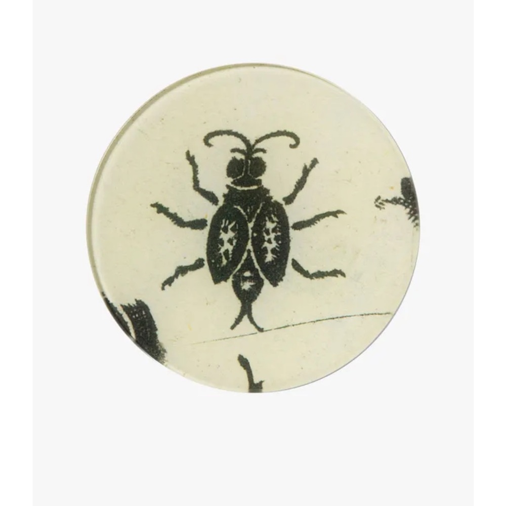 John Derian x The Met Insect Plate